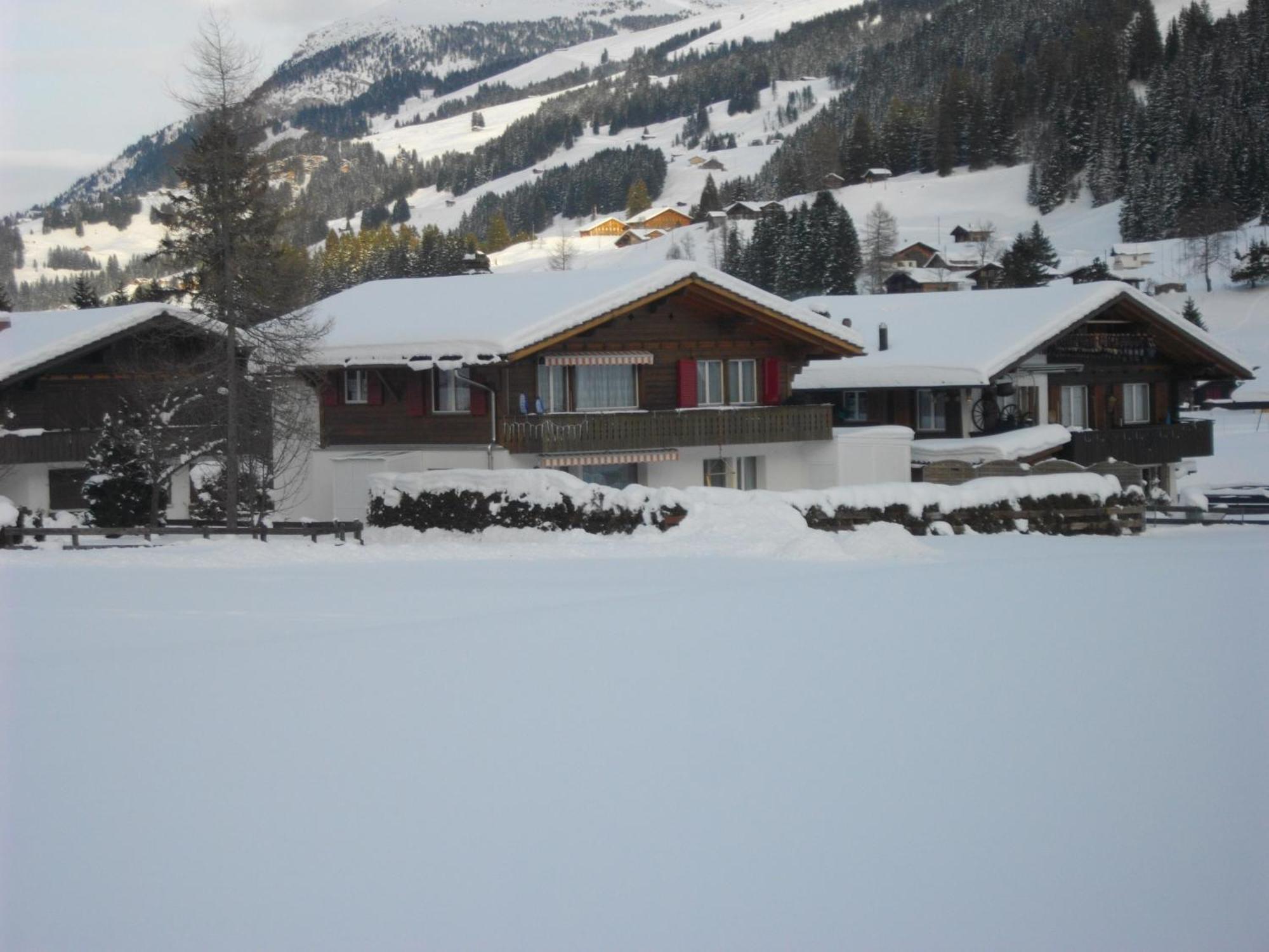 Chalet Aloa Apartment Adelboden Ngoại thất bức ảnh